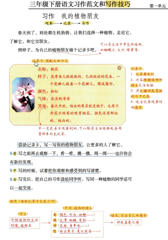 三年级 下册语文《习作范文及技巧点拨》-watiku
