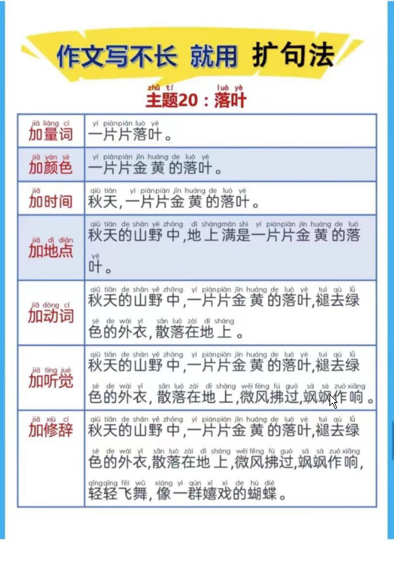 一年级语文下册晨读扩句第⑤⑥⑦⑧组