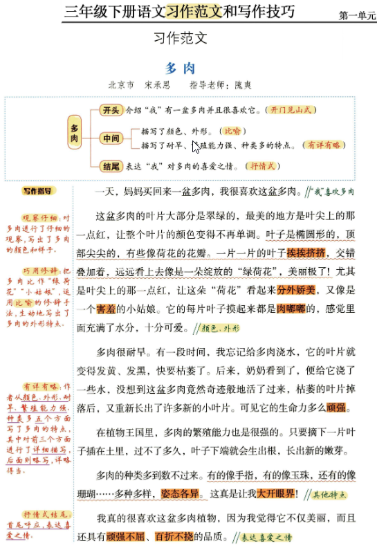 三年级 下册语文《习作范文及技巧点拨》