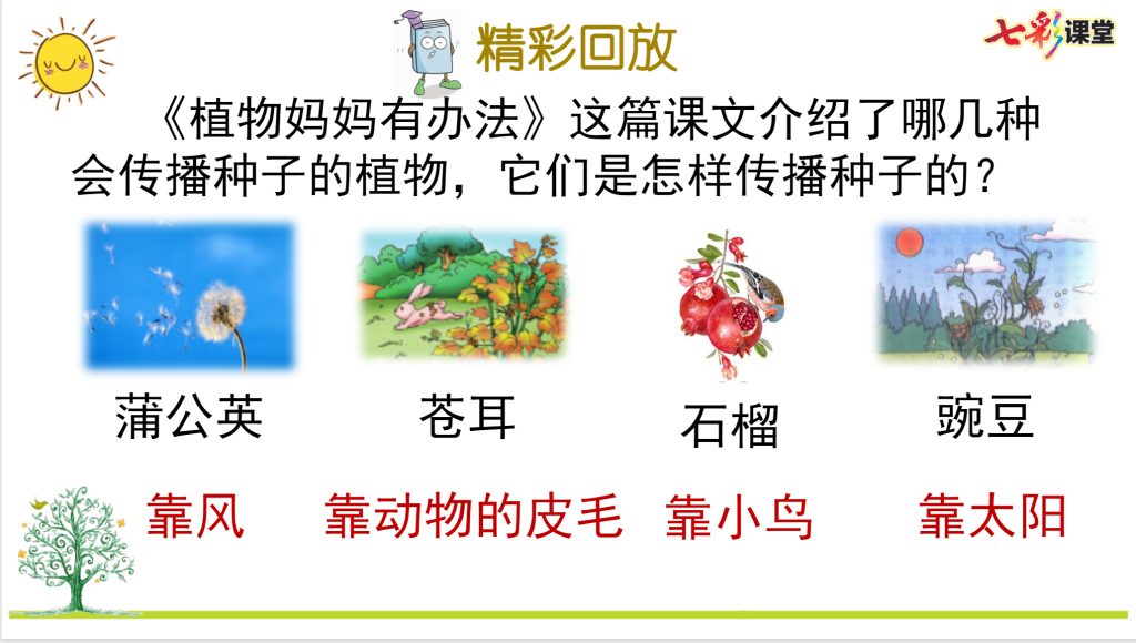 二年级上册语文期末复习课件（单元复习+专项复习）ppt
