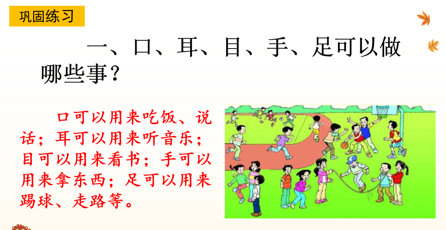24新版教材一年级上册语文期末复习课件（单元+专项复习课件）