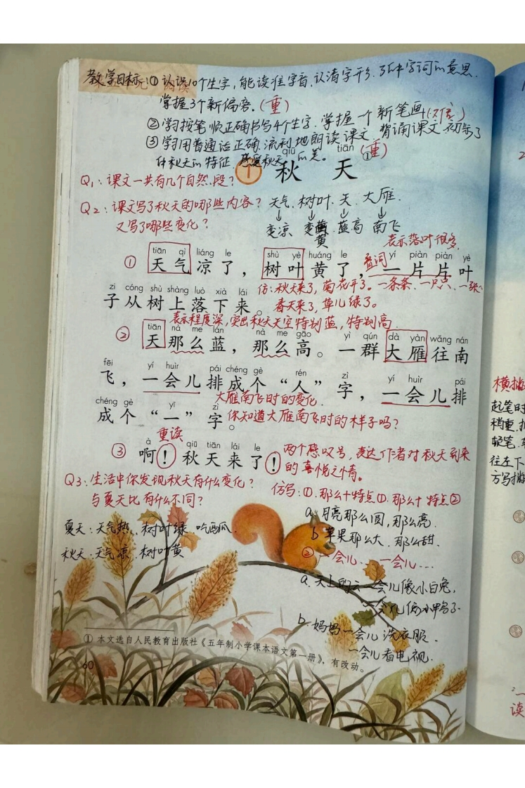新版一上语文第五单元课堂笔记-watiku